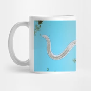 Microscopic free-living nematode worm from garden soil Mug